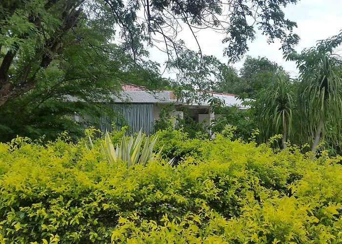 The Meadows Resort And Spa